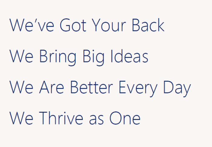 ses_ourvalues