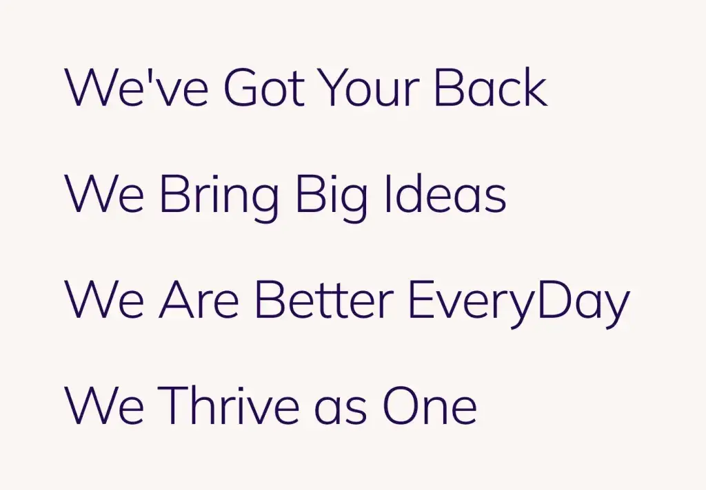 SES_Our_Values